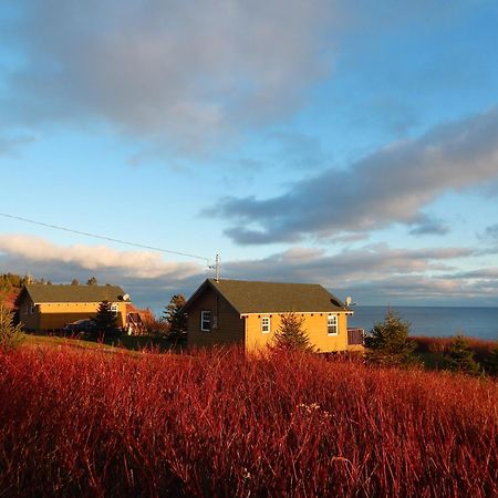 Sainte-Therese-de-Gaspe Les Chalets Brise-De-Mer מראה חיצוני תמונה