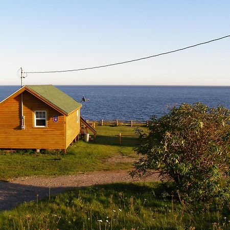 Sainte-Therese-de-Gaspe Les Chalets Brise-De-Mer מראה חיצוני תמונה