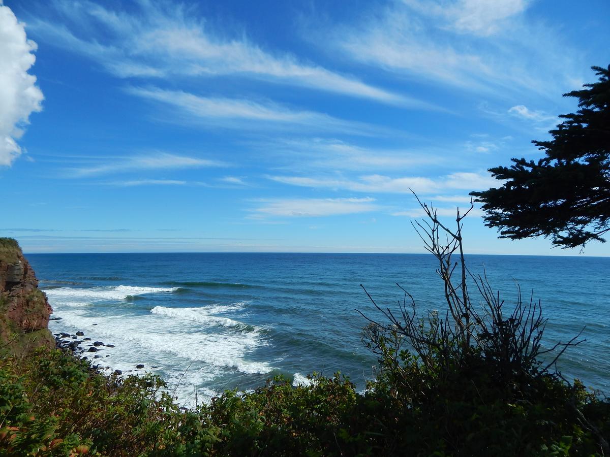 Sainte-Therese-de-Gaspe Les Chalets Brise-De-Mer מראה חיצוני תמונה